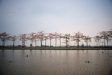 顽皮狗疑似扩充《最后的生还者》多人游戏开发团队